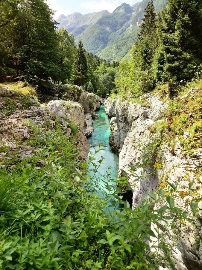 Beti Blu, Kaninska Vas Bovec Exterior foto